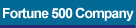 Fortune 500 Company