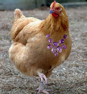 Gemstone Chickens