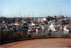 Bruce's Flotilla of Ships