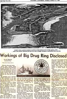 Bruce Perlowin - The King Of Pot
